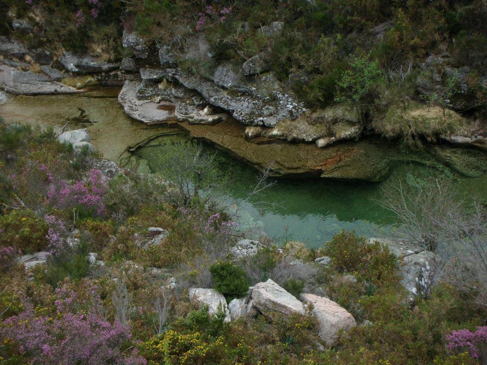 Pension As Termas Bubaces Εξωτερικό φωτογραφία